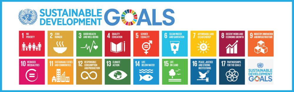 17 Objectifs de développement durable (ODD)