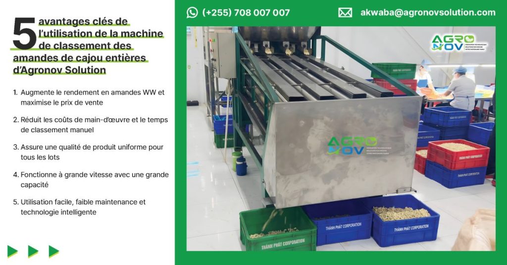 5 avantages clés de l'utilisation de la machine de classement des amandes de cajou entières d'Agronov Solution