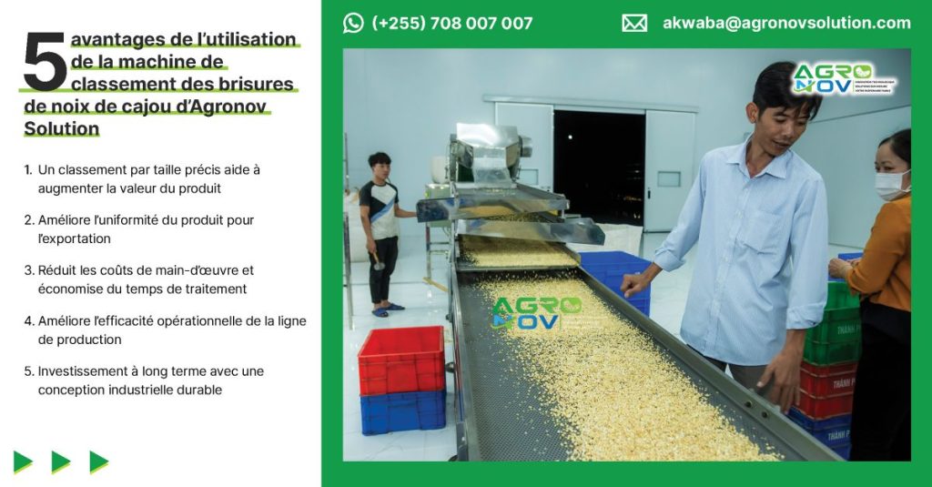 5 avantages de l’utilisation de la machine de classement des brisures de noix de cajou d’Agronov Solution
