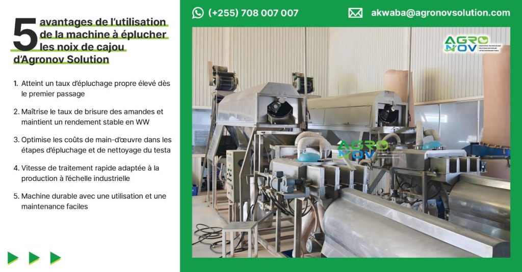 5 avantages de l’utilisation de la machine à éplucher les noix de cajou d’Agronov Solution