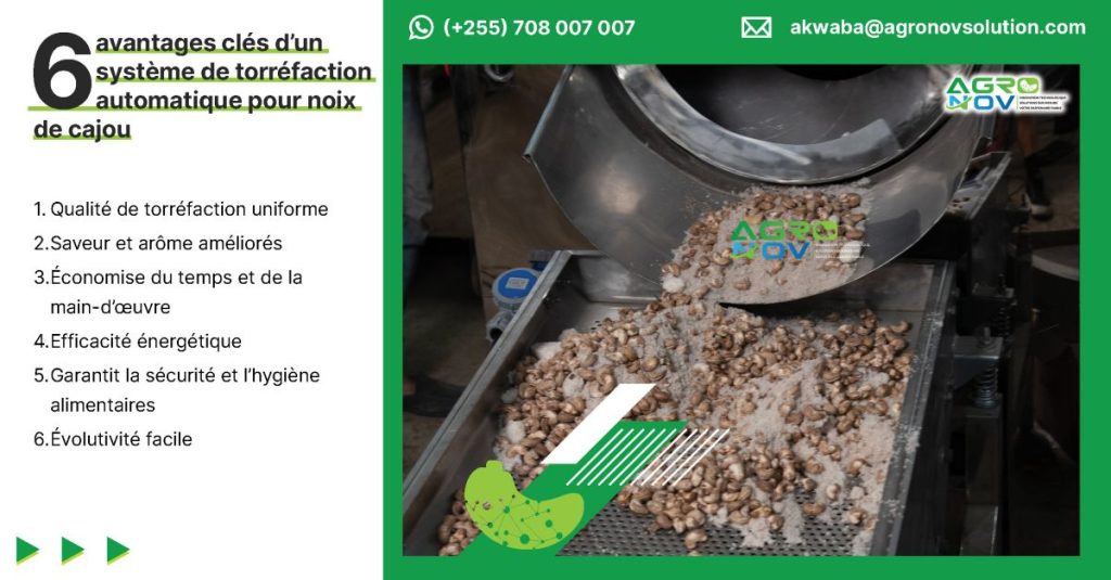 6 avantages clés d'un système de torréfaction automatique pour noix de cajou