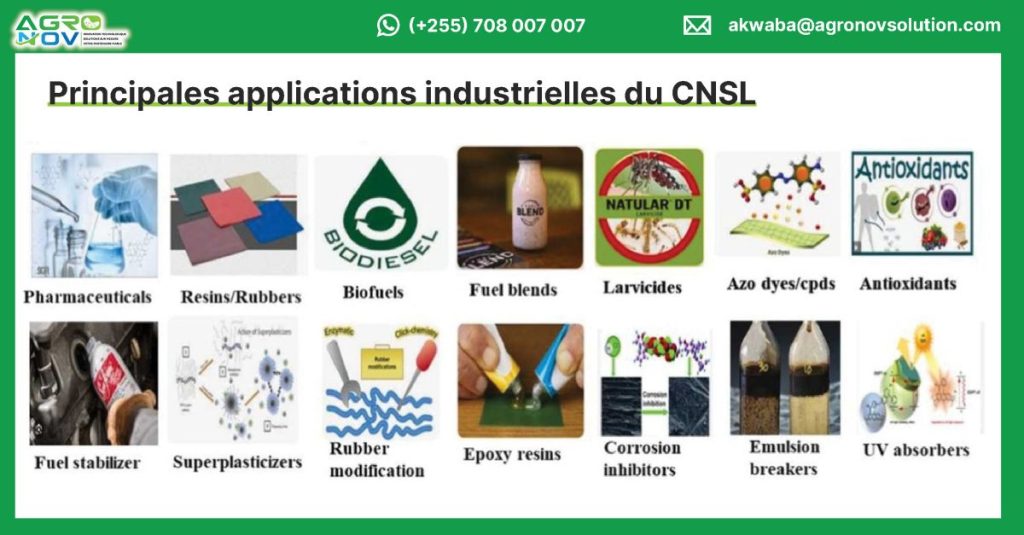 Principales applications industrielles du CNSL