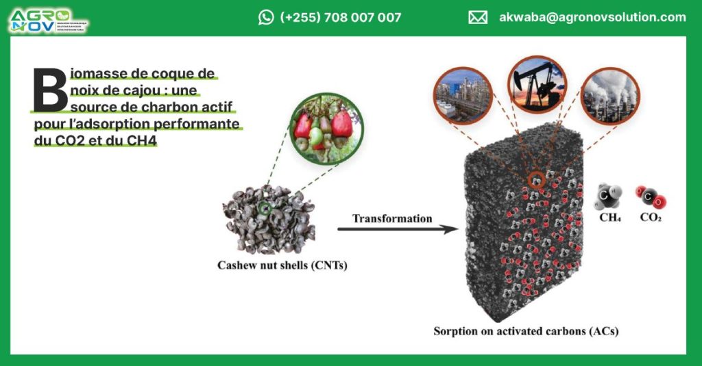 Biomasse de coque de noix de cajou