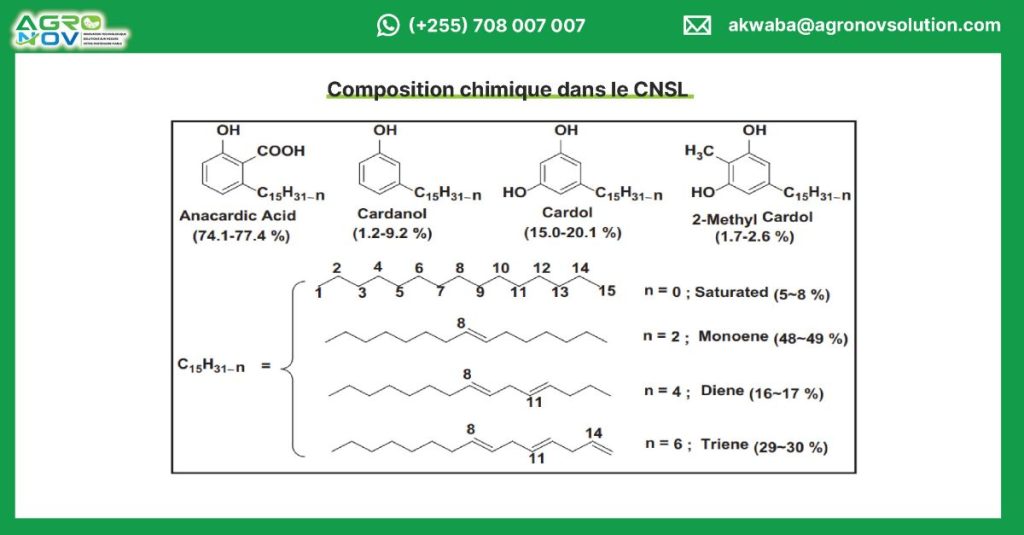 Composition chimique dans le CNSL