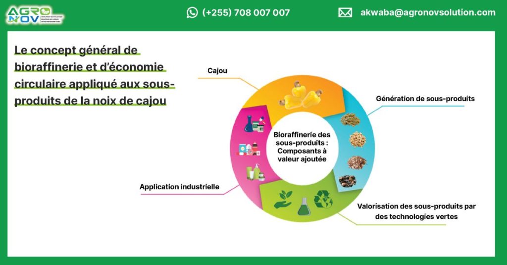Le concept général de bioraffinerie et d’économie circulaire appliqué aux sous-produits de la noix de cajou