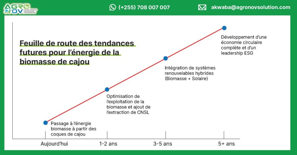 Feuille de route des tendances futures pour l’énergie de la biomasse de cajou