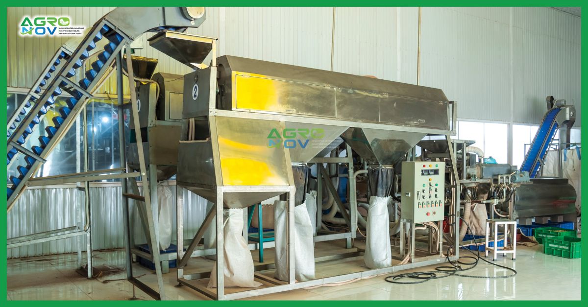 Machine à éplucher les noix de cajou