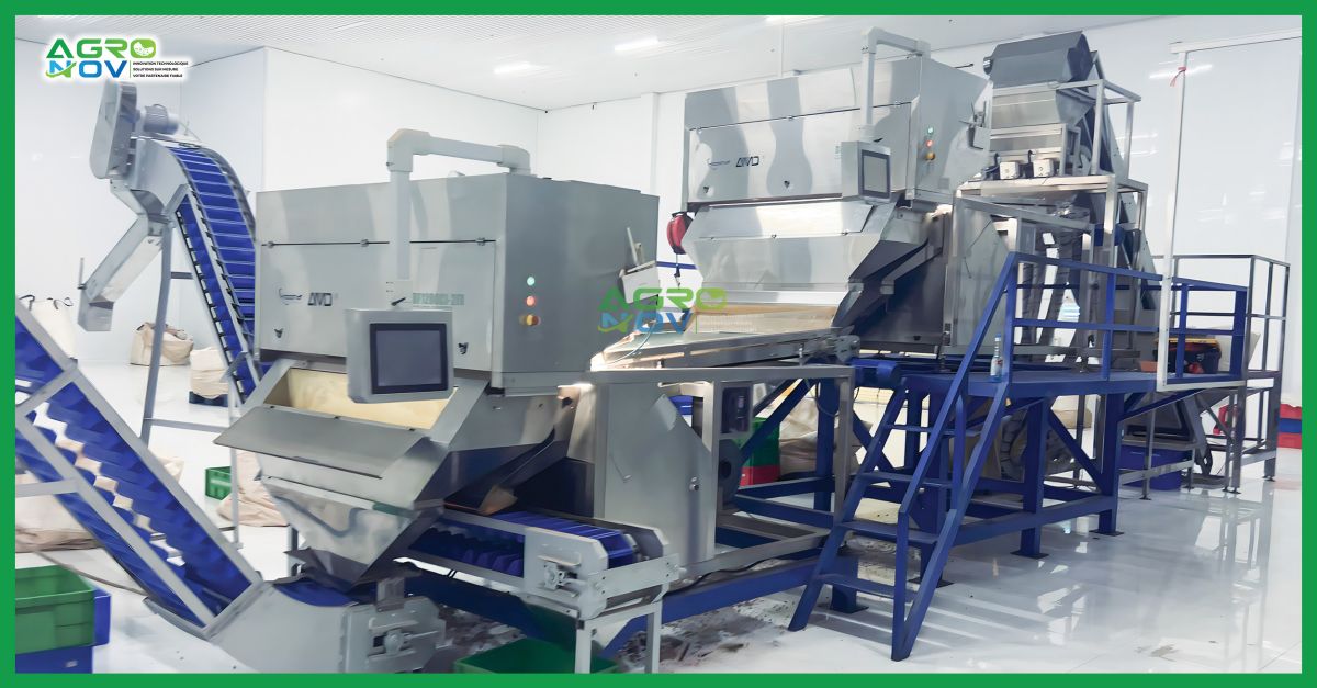 Machine de classement des amandes de cajou entières (Trieuse Colorimétrique)