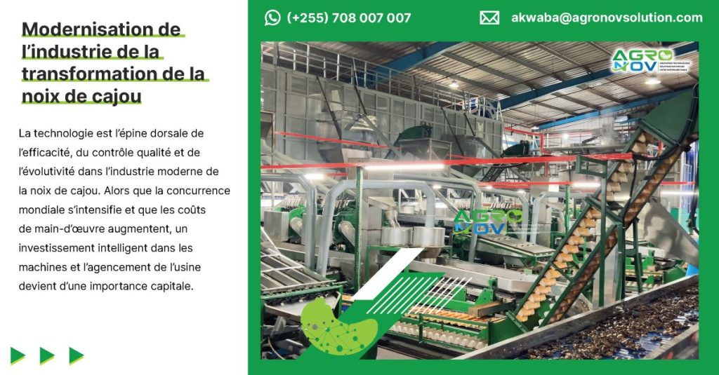 Modernisation de l’industrie de la transformation de la noix de cajou