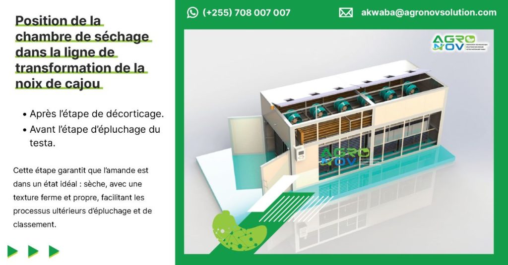 Position de la chambre de séchage dans la ligne de transformation de la noix de cajou