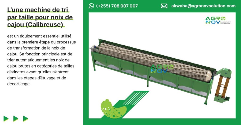Qu'est-ce qu'une machine de tri par taille pour noix de cajou (Calibreuse) ?