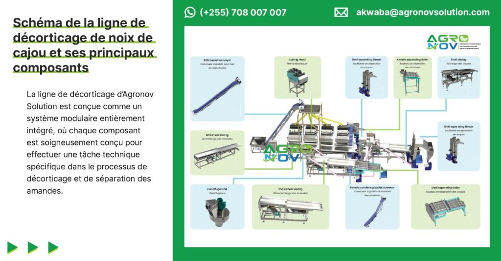 Schéma de la ligne de décorticage de noix de cajou et ses principaux composants
