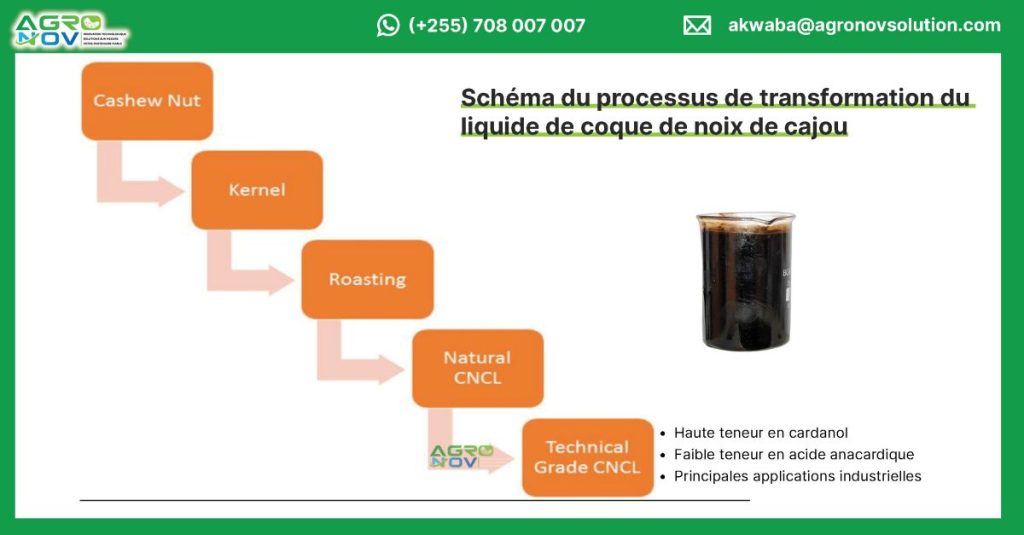Schéma du processus de transformation du liquide de coque de noix de cajou