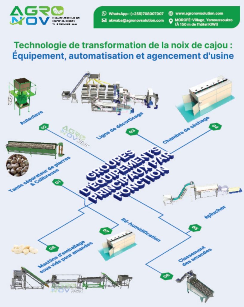Technologie de transformation de la noix de cajou : Équipement, automatisation et agencement d'usine
