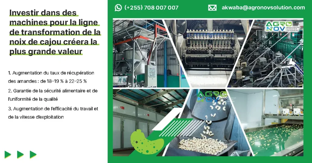 Investir dans des machines pour la ligne de transformation de la noix de cajou créera la plus grande valeur