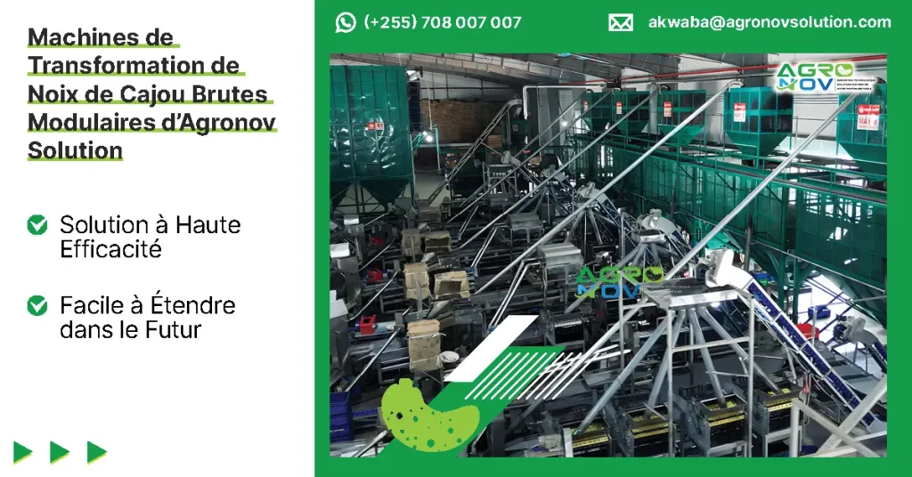 Machines de Transformation de Noix de Cajou Brutes Modulaires d’Agronov: Solution à Haute Efficacité, Facile à Étendre dans le Futur