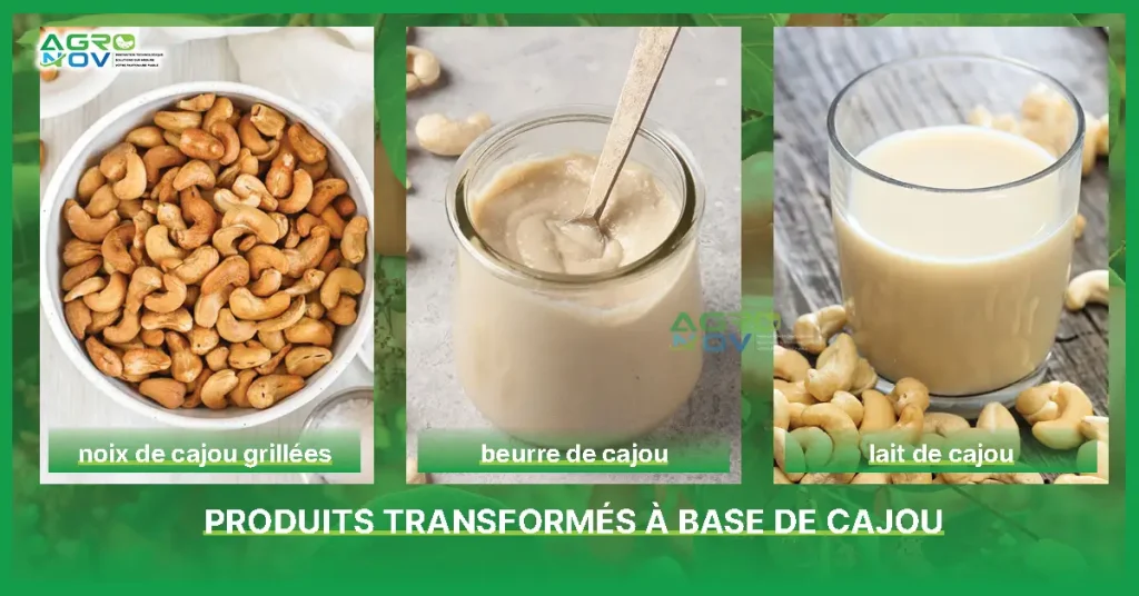 Des produits tels que les noix de cajou grillées, le beurre de cajou, le lait de cajou sont de plus en plus populaires