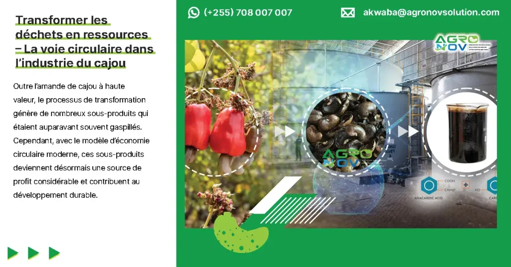 Transformer les déchets en ressources – La voie circulaire dans l’industrie du cajou